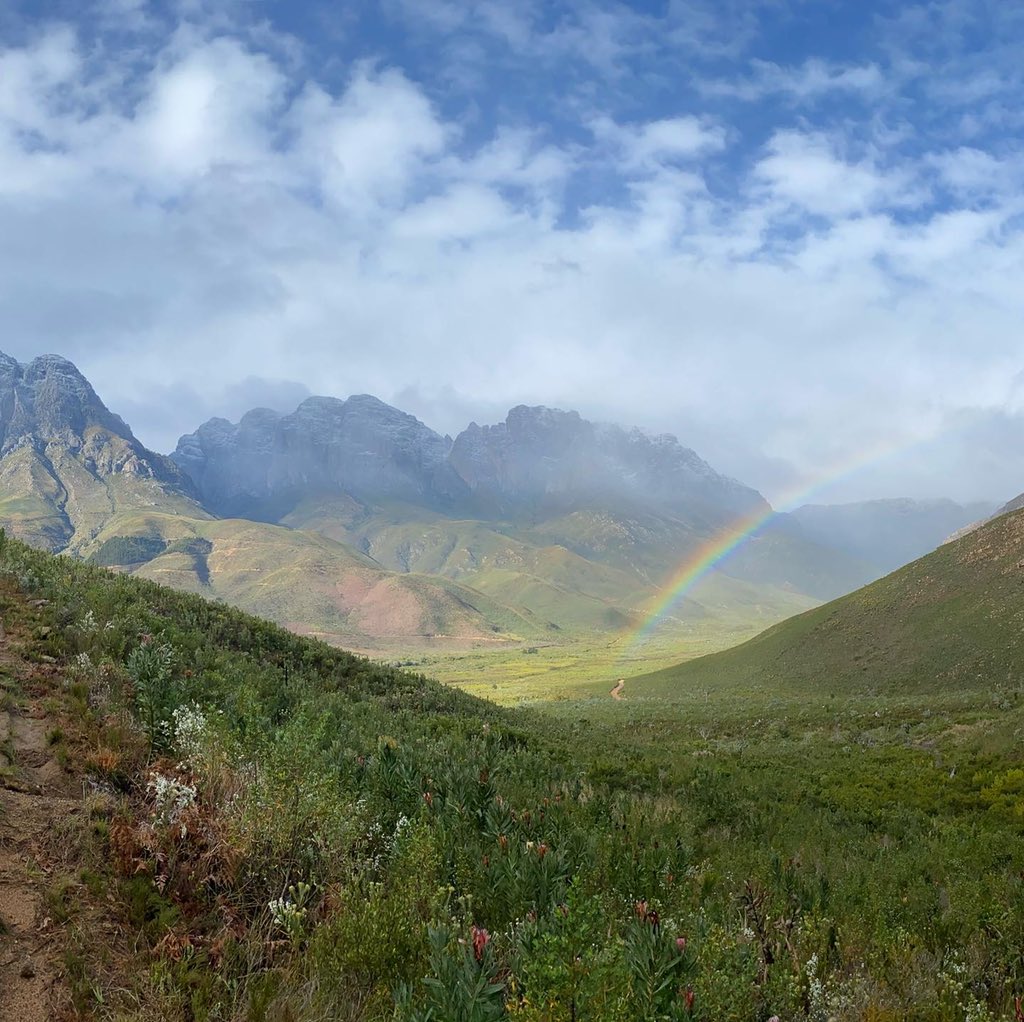 Maltdoc's tweet photo. The #Winelands really serving it up the last 10 days. Every sight and season imagineable within 5k’s from home ❄️🌈☀️Batteries recharged for new ventures🥃 #privatebarrelco #sampletime https://t.co/i5uyiUyRxt