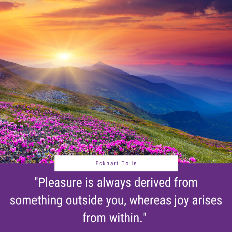EckhartTolle's tweet photo. "Pleasure is always derived from something outside you, whereas joy arises from within." - Eckhart Tolle https://t.co/TsAiAlS9xE