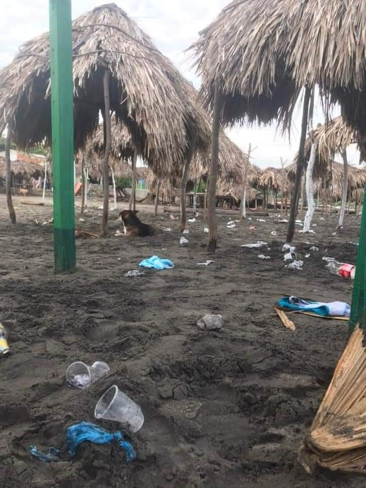 mariourrutiae's tweet photo. Y esta era la chingadera que tenía por ir a la playa.
Que tristeza... https://t.co/BLHBkyn4Se