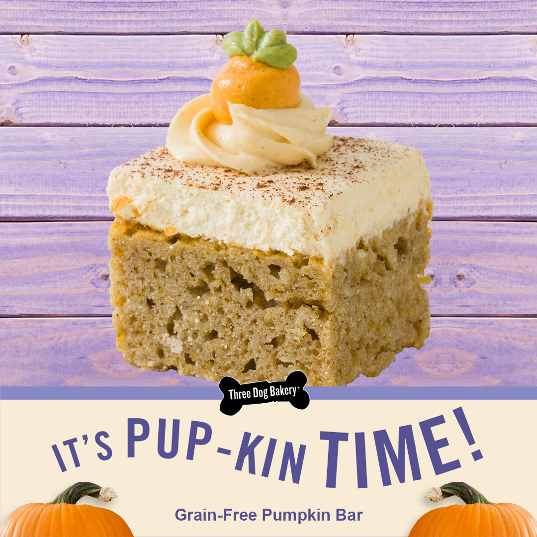 In the fall, some people are all about the pumpkin bread. We're all about our Grain-Free Pumpkin Bars packed with pumpkin goodness!
