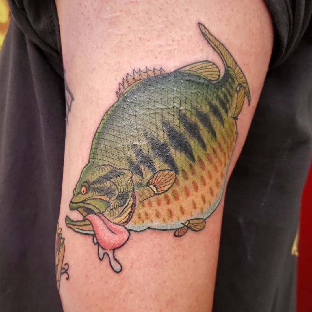 Discover more than 72 crappie fish tattoo - in.cdgdbentre