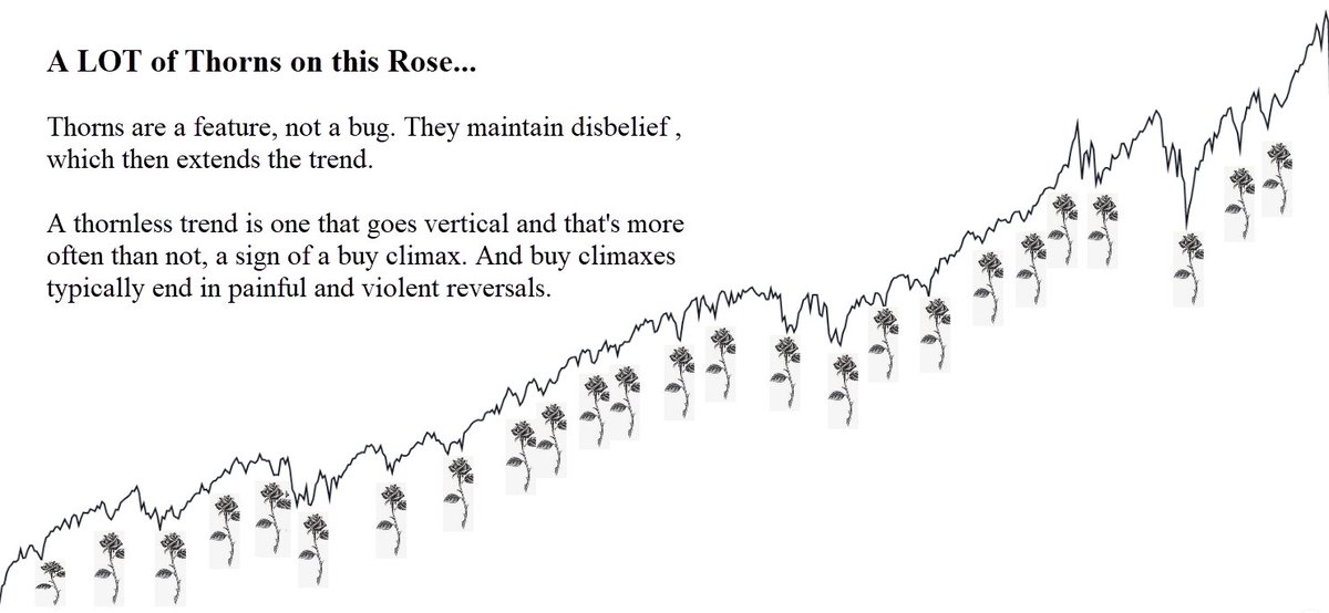 8/ The oscillations, the dips, the volatility along the way are the price the player pays to ride out a big trend. A trend is like a rose. Its dips are thorns. These thorns are a feature, not a bug. Experienced traders know a thorn is an opportunity to enter or add to a position.