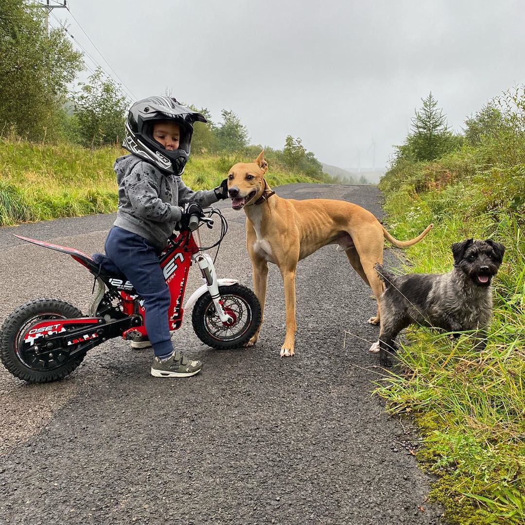 TriumphTXP's tweet photo. 12.5 OSET; the new way to walk the dogs 🙏
@hrd_moto
.
.
#oset #osetbikes #osetgardentrials #trials #motocross #electric #greenpower #offroad #dirtbike #stayalert #rideitout #osetweb https://t.co/WIp4KBPfLM