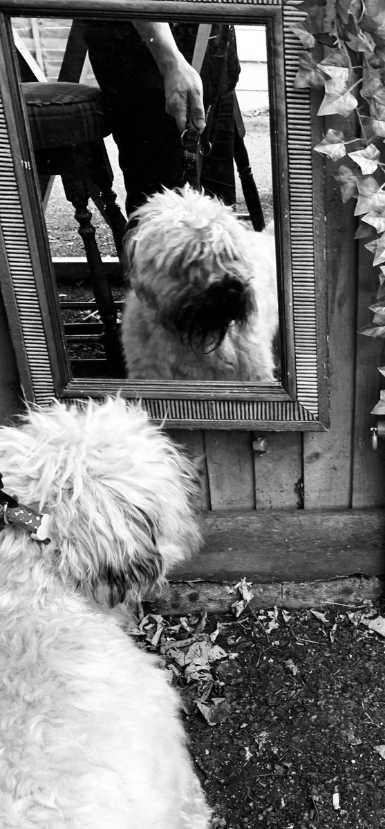 Nifty pint with uncle crumbs <a href="/the_breeze_2000/">Chris Hammond 43</a> .. who’s that handsome boy looking at me #REFLECTION #SCWT #pub
