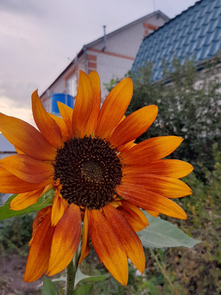 orientru's tweet image. Para todos cubanos