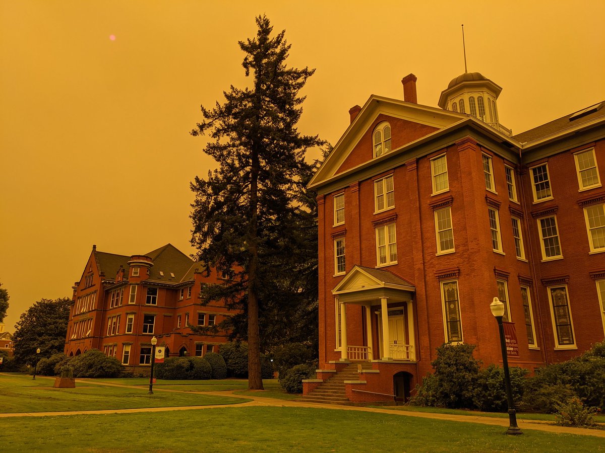wubearcats's tweet image. Wildfires and a change in wind turned campus into a living filter.
