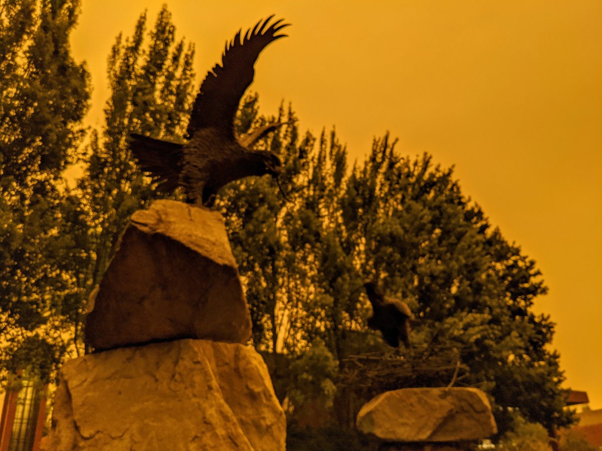 wubearcats's tweet image. Wildfires and a change in wind turned campus into a living filter.