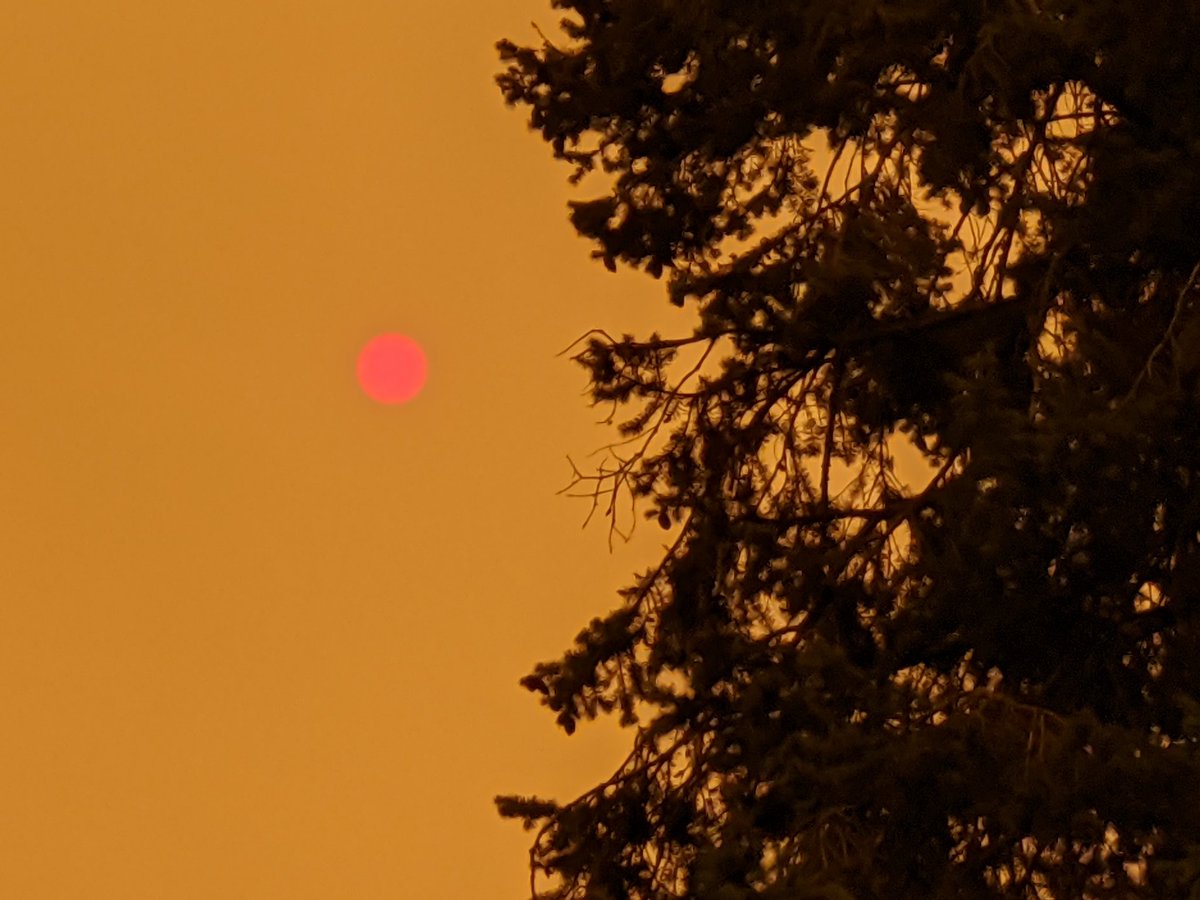 wubearcats's tweet image. Wildfires and a change in wind turned campus into a living filter.