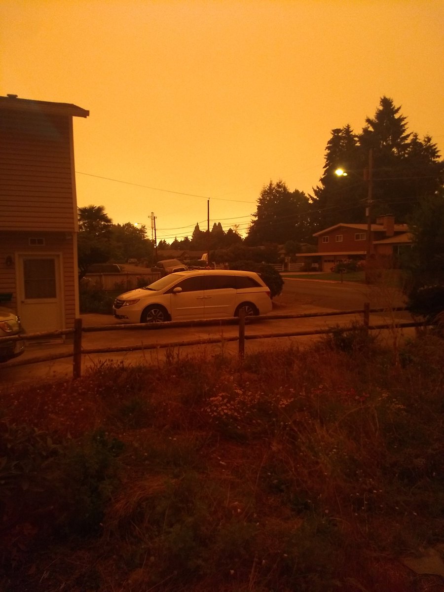FilixMaisch's tweet photo. Sky on fire https://t.co/F39IsFMk3y