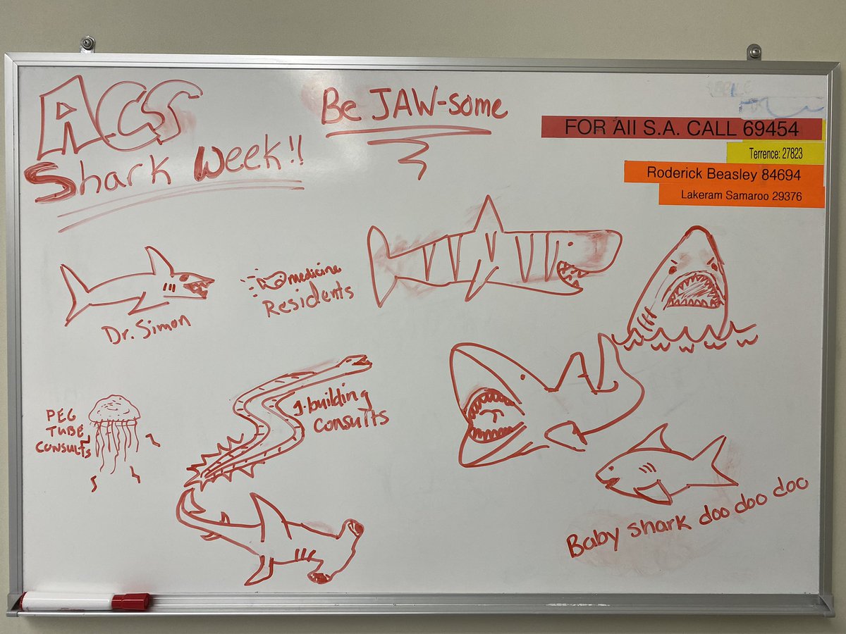 Shark week!!!