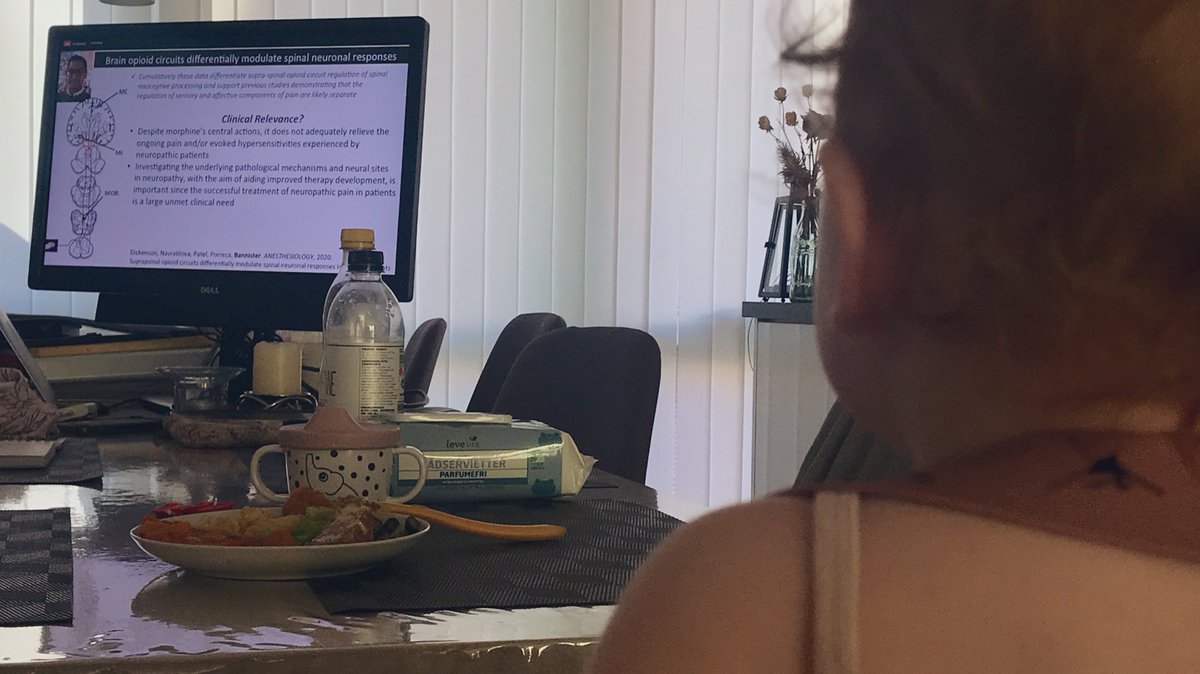 MegasaurusPheet's tweet photo. Starting the science education early for this little one with some excellent dinnertime content courtesy of @PainResForum and @bannister_lab! - Thanks for a great presentation and discussion! #babiesinSTEM #futureWomenInSTEM 👏🏻 https://t.co/TCikEJItWX