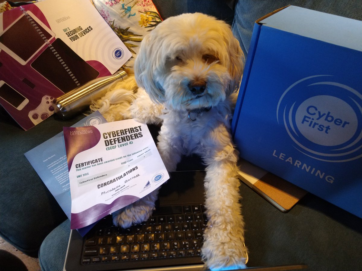 IClaireBarratt's tweet photo. Nailed the #Cyberfirst Defenders Course with #SnallpieceTrust. On the Internet, nobody know's you're a dog. https://t.co/tVq5pz0LYX