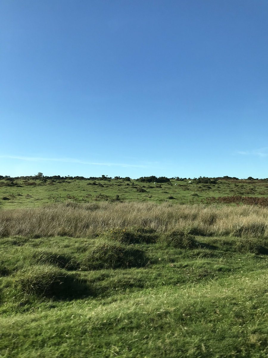 In my happy place <a href="/bodminmoor1/">Bodmin Moor Commons</a> ❤️ adore it here ❤️