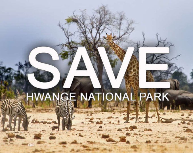 The Ministry of Mines and EMA must issue a national apology to Zimbabweans for granting a mining license to the Chinese in Hwange National Park. Never again must officials sacrifice matters of national interest for short term gains. #SaveHwangeNationalPark