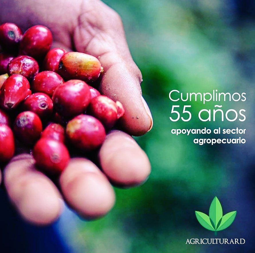 JeyQuezada's tweet photo. Hoy cumple #55Años apoyando el sector agropecuario. Gracias a @AgriculturaRD y así se siga logrando una sostenibilidad económica desde el productor más pequeño al más alto. Que continúe la labor con humildad y amor al prójimo. @limbercruzl https://t.co/Wqk2VPCkLt
