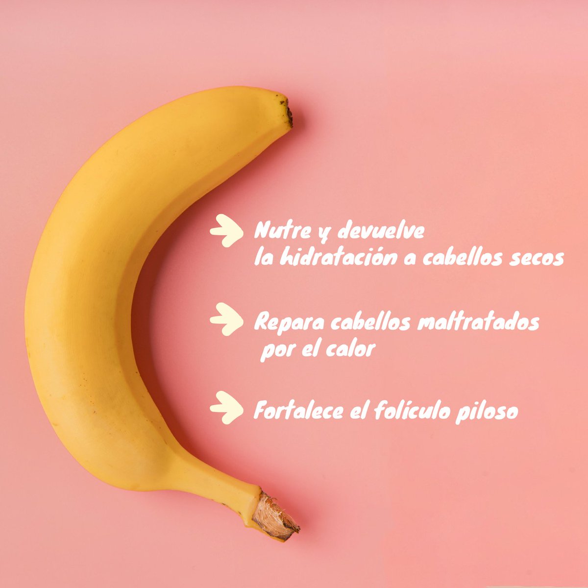 Sometimes the best beauty benefits are found in a fruit🍌💛⁣

#haircare #healthyhair #hair #vegan #crueltyfree #naturallybased #haircaretips #hairstylist #plantbased #hairproducts #consciousbeauty #greenbeauty #naturalcosmetics #naturalcosmetic #ethicallifestyle #veganbeauty
