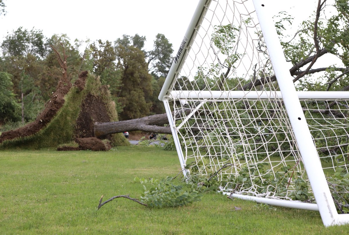 WeberStateU's tweet photo. We've got some downed trees and battered signs on campus. Stay safe out there, Wildcats! https://t.co/qP6Xjju9KM