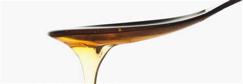 PlantBasedSuzy's tweet image. 