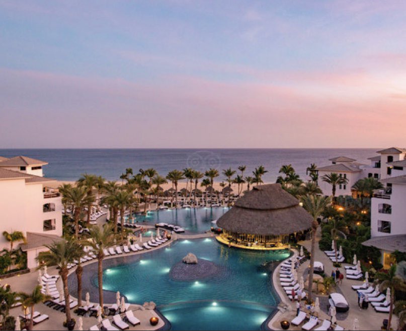 THHAlicia tweet media