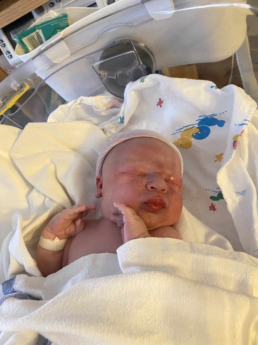 Travis Wiltzius tweet media