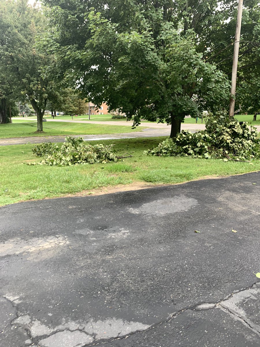 MelNuck81's tweet photo. Is it common practice for @ConsumersEnergy to cut branches to access a wire and leave them? https://t.co/xDnO5vIU1b