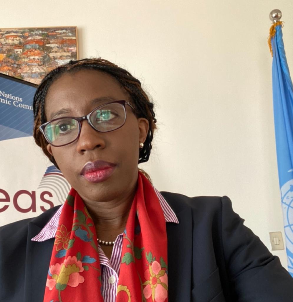 Only 7 #African countries (🇨🇬🇲🇿🇸🇴🇸🇸🇸🇩🇿🇼🇸🇹) were in debt distress before #COVID19. We must work together to ensure those with good fundamentals before the crisis are not penalized - @songwevera @ECA_OFFICIAL #Fin4Dev #GlobalGoals