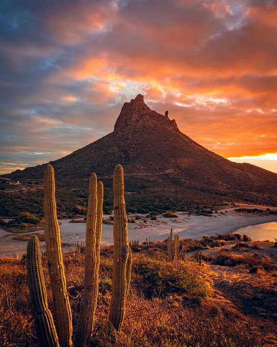 ¿Ya te diste cuenta que cuanto más nubes haya en el cielo, más colorido es el atardecer? 🌄

¡Viaja Diferente