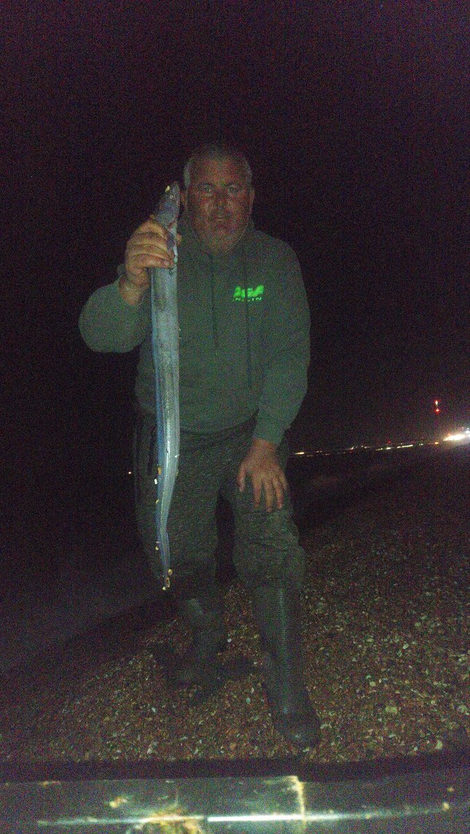 barryflack1's tweet photo. And dome more fish undulate ray strap conger and bas https://t.co/tIHlW5SsXK