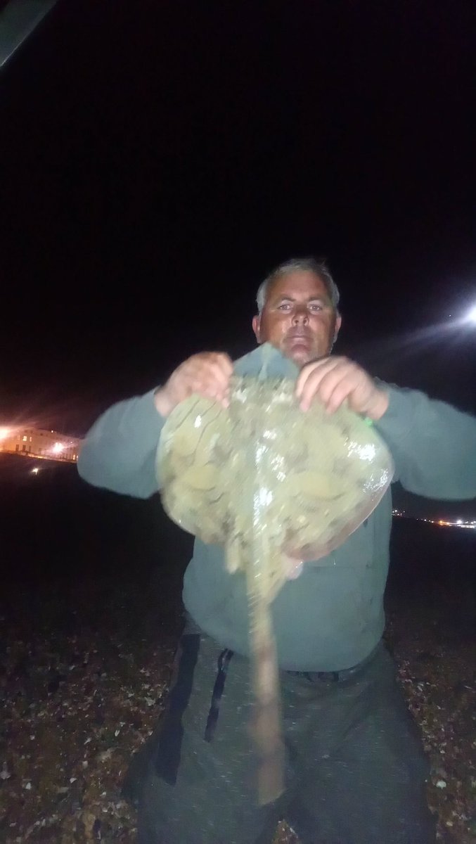 barryflack1's tweet photo. And dome more fish undulate ray strap conger and bas https://t.co/tIHlW5SsXK