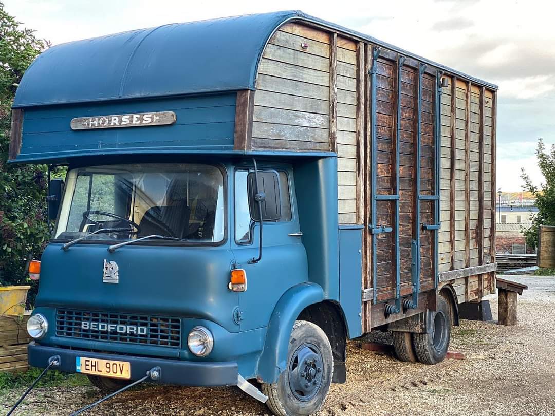Bramble_hill_'s tweet photo. How exciting!! Our latest adition to the Bramble Hill family.. still awaiting a name so let us know should you have any suggestions 🌼 https://t.co/Nez6U2bN91