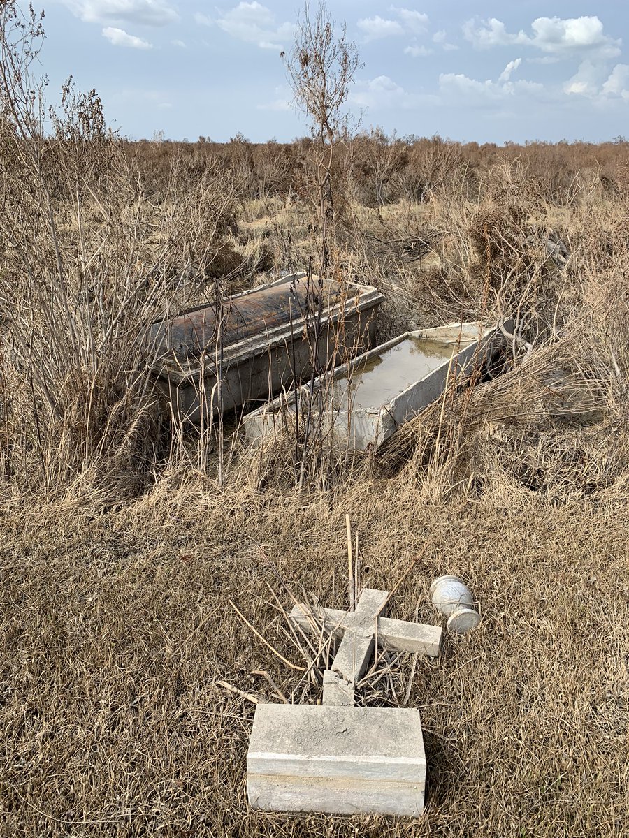 I went around with the parish coroner as he tried to assess how many graves had been upended by the storm. At one cemetery, we found femur, radius and mandible bones in the grass.Over 700 graves were disturbed by both Rita and Ike. Coffins were pulled from bayous and marshes.