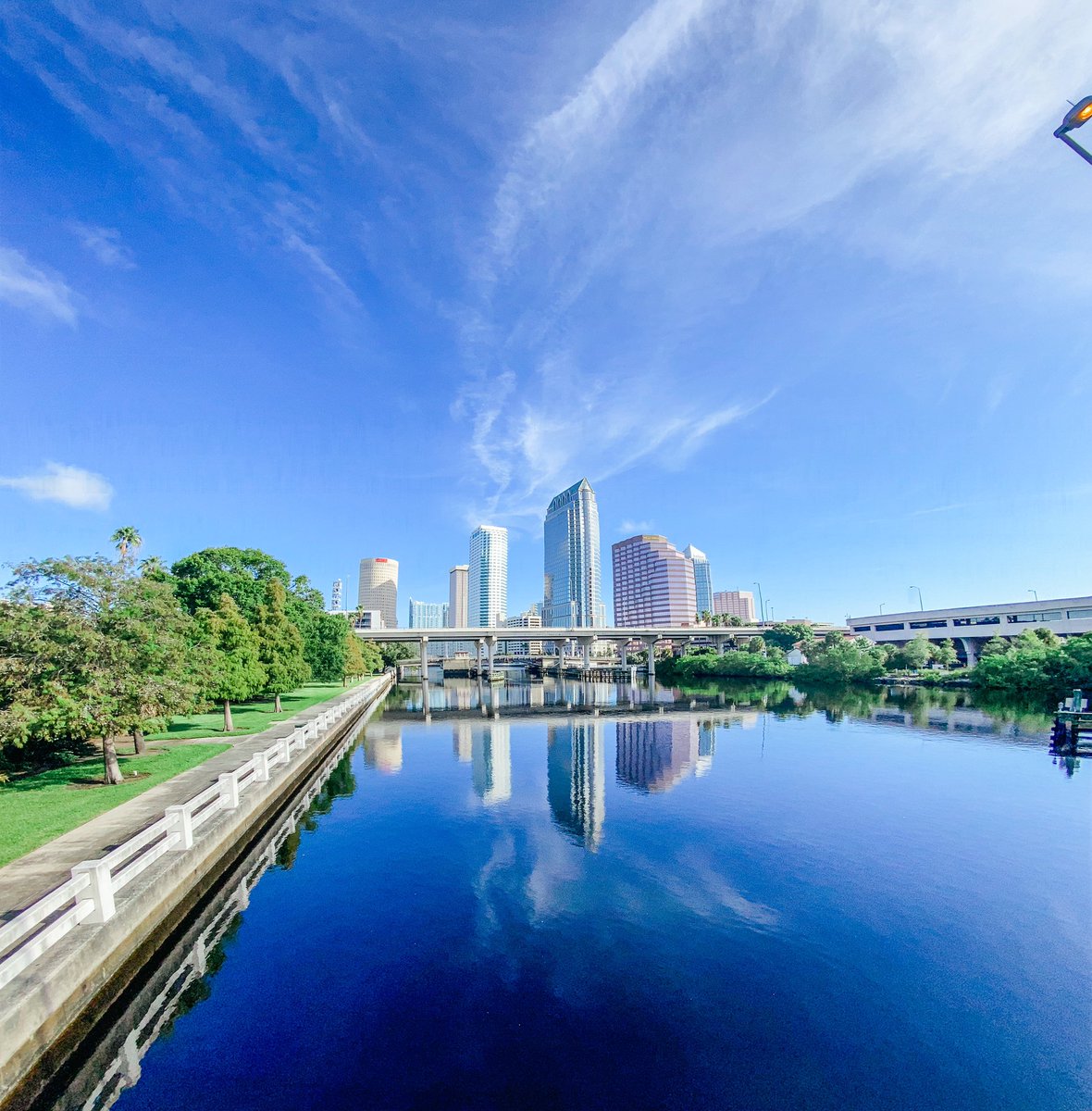 City of Tampa tweet media