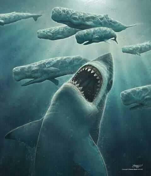 Wereverwero's tweet photo. Megalodón // Megarolón https://t.co/LEYBqex8vd