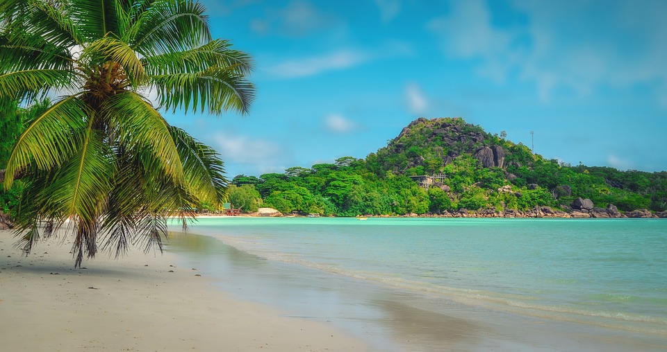 Madein__Africa's tweet photo. Madein-Mycountry Sponsoring Museums and cultural organizations ๐ธ๐จ
#madeinmycountry,#bestof,#art,#Africa,#madeinmycountrynet,#madein_travel,#bestof,#madeinmycountrybest,#madeinmycountryafrica,#internationalart,#unsplash,#cullture,#animals,#worldconservation,#UN,#Seychelles ๐ธ๐จ https://t.co/UOluHi3Smr