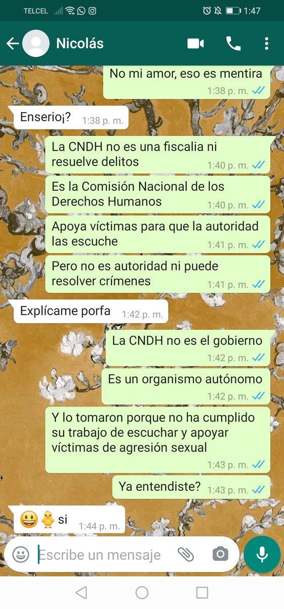 Tania_Tagle's tweet photo. Nicolás tiene 10 años y ya entendió.
Ustedes no tienen excusa. https://t.co/ifF25JU4sN