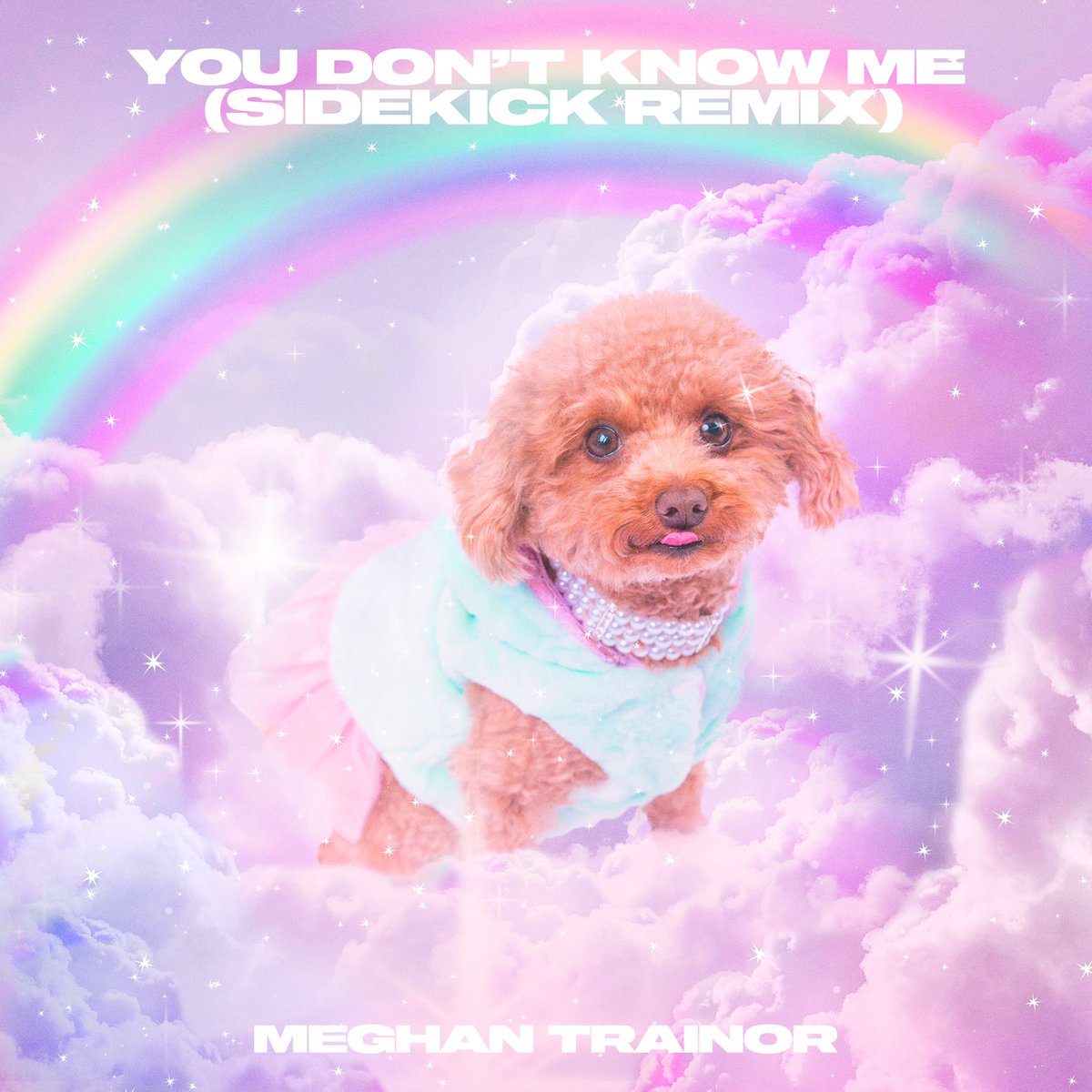 Meghan_Trainor's tweet photo. #MakeYouDance and #YouDontKnowMe remixes are out now!! Thank you to @JayDixie and Sidekick for crushing both of these ✨💞 ARTWORK INSPIRED BY THE QUEEN HERSELF @ParisHilton ☁️💖 https://t.co/9SF3zO1l6g