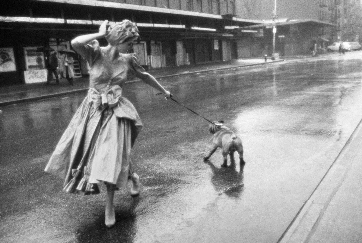 Tintamarre6's tweet photo. Bouledogue et cie
#RobertFarber https://t.co/UugHZ0ptNR
