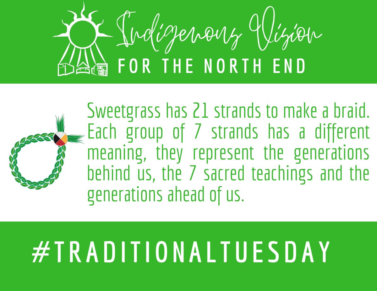 IndigVision's tweet image. #TraditionalTuesday Today we learn about sweetgrass #IHeartNorthEnd #Culture #IndigenousPride