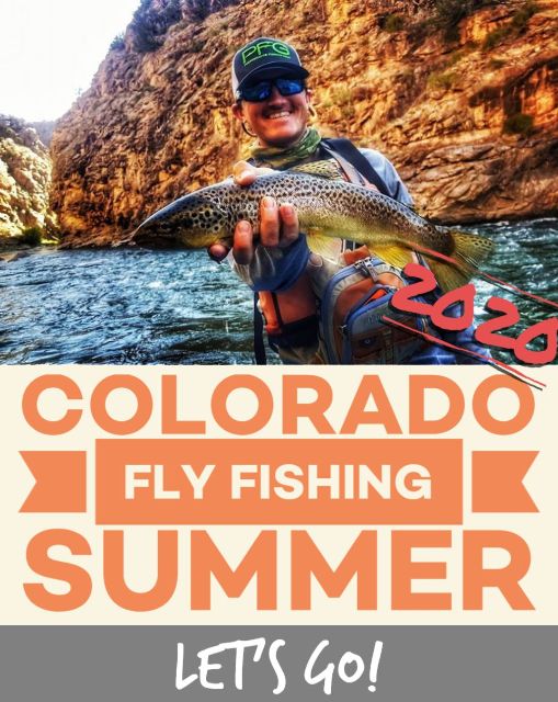 actionangler's tweet photo. September Fly Fishing Report &amp; Business Update - https://t.co/bZTKwRgLkf https://t.co/hqvuuJ0AB8