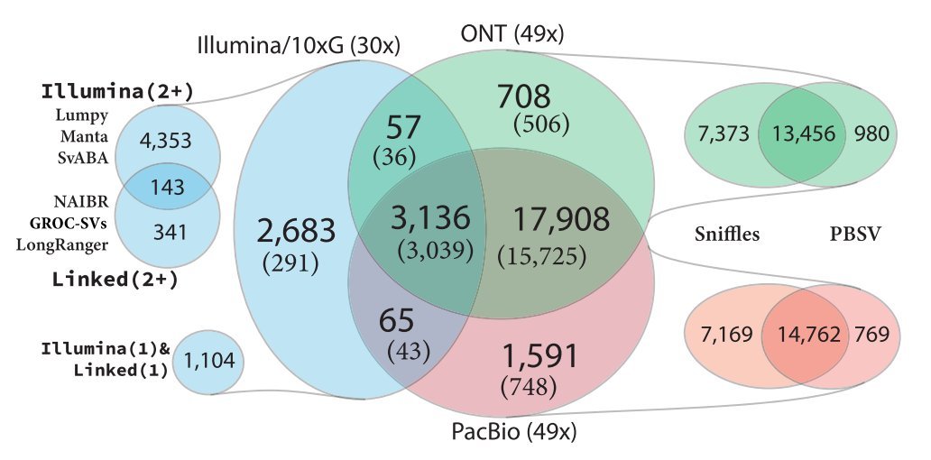 Rachel Sherman, PhD (@rshermanjhu) on Twitter photo Excited that our paper on analyzing breast cancer variation using long reads is finally out in Genome Research. It's been a pleasure to work with <a href="/s_aganezov/">Sergey Aganezov</a> <a href="/mike_schatz/">Michael Schatz</a> <a href="/melanie_kirsche/">Melanie Kirsche</a> <a href="/timp0/">Winston Timp</a> <a href="/sedlazeck/">Fritz Sedlazeck</a> <a href="/shgoodwin1/">Sara Goodwin</a>
and many other collaborators!
genome.cshlp.org/content/early/… Excited that our paper on analyzing breast cancer variation using long reads is finally out in Genome Research. It's been a pleasure to work with <a href="/s_aganezov/">Sergey Aganezov</a> <a href="/mike_schatz/">Michael Schatz</a> <a href="/melanie_kirsche/">Melanie Kirsche</a> <a href="/timp0/">Winston Timp</a> <a href="/sedlazeck/">Fritz Sedlazeck</a> <a href="/shgoodwin1/">Sara Goodwin</a>
and many other collaborators!
genome.cshlp.org/content/early/…