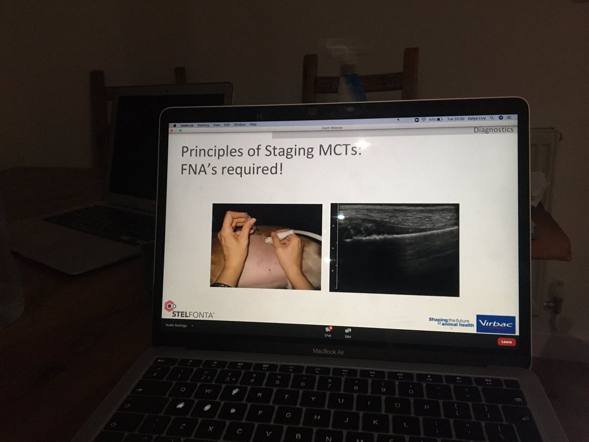 MagnoliaVets's tweet photo. Romantic midweek evening together:  watching a webinar on Canine Mast Cell tumours!! #alwayslearning #stelfonta #CPD https://t.co/dOaziCvJba