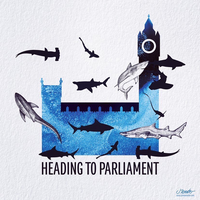 Shark_Guardian's tweet photo. We made it! 100,000 signatures means this will now be debated in Parliament. We are beyond grateful to everyone that signed and shared, together we all made this happen. We'll keep everyone updated very soon, but for now, we celebrate!⁣ #finspirechangeuk https://t.co/GEGqEXtZuP