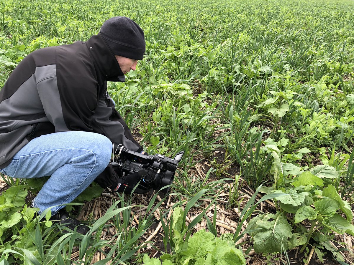NDsoilhealth's tweet photo. @AgweekMagazine #soilhealth Minute is shifting gears - we want to hear from you and answer your questions both on TV and in the magazine column!  Let me know what you want addressed...I’ll start a list!  New format will compliment the #FieldCheck podcast! @katpinke @TrevsTakes https://t.co/xKYQrEyKZ1