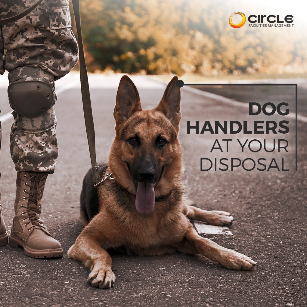 CircleUKGroup's tweet photo. ๐ฎโโ๏ธ We are one of the few professional #security bodies that specialize in #doghandling for security premises in #GreaterLondon! ๐ The investigative skills of our four-legged companions have prevented multiple crimes and caught criminals before they had a chance to act. #circlefm https://t.co/yEClvRd0XT