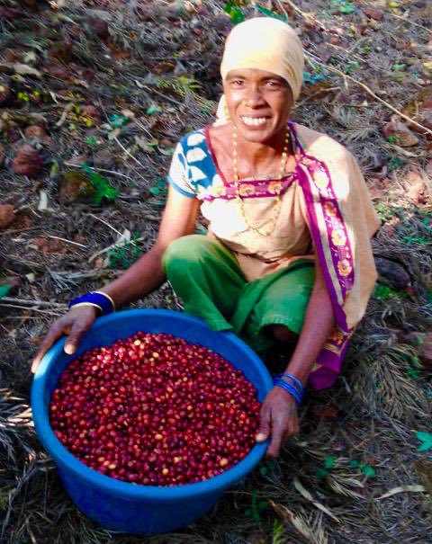 We paid them profits before the harvest & they followed our quality standards by working so hard that it took them 15 times more labour to hand pick only dark red coffee cherries! We paid them 200% mark up on best market price & thus assuring sustained profits every year.(9/n)