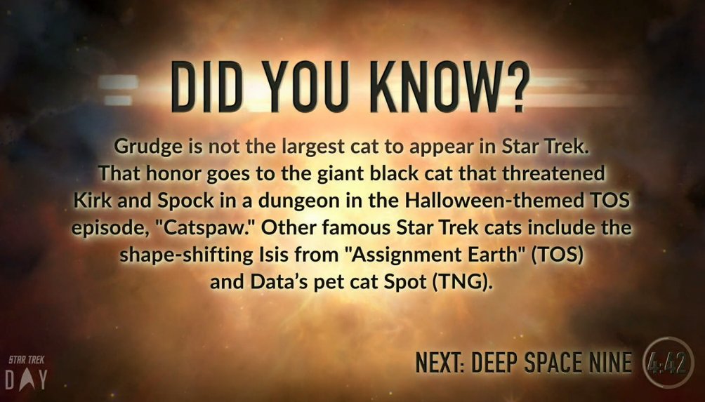 Space cat facts!  #StarTrekDiscovery    #StarTrekDay    #StarTrekUnitedGives  