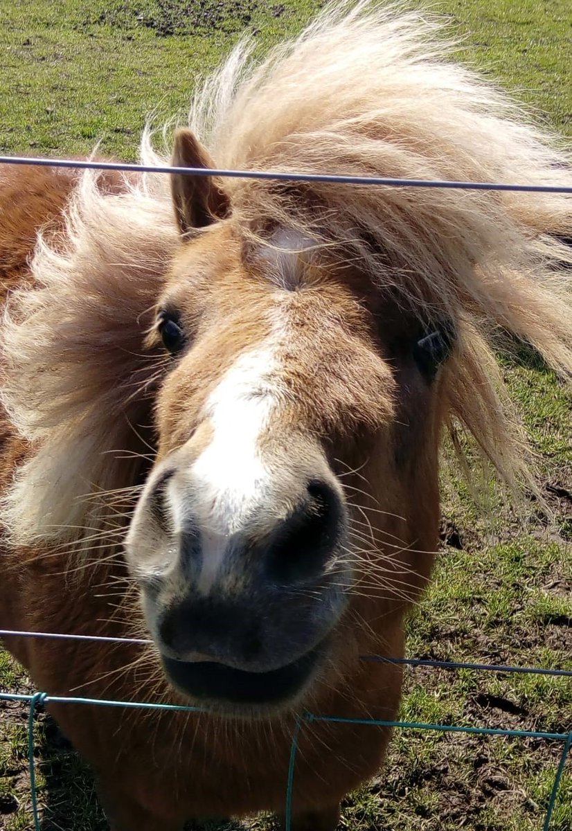 Friday 11th and Saturday 12th September - weekend farm visit booking slots are now online bookwhen.com/laganvale