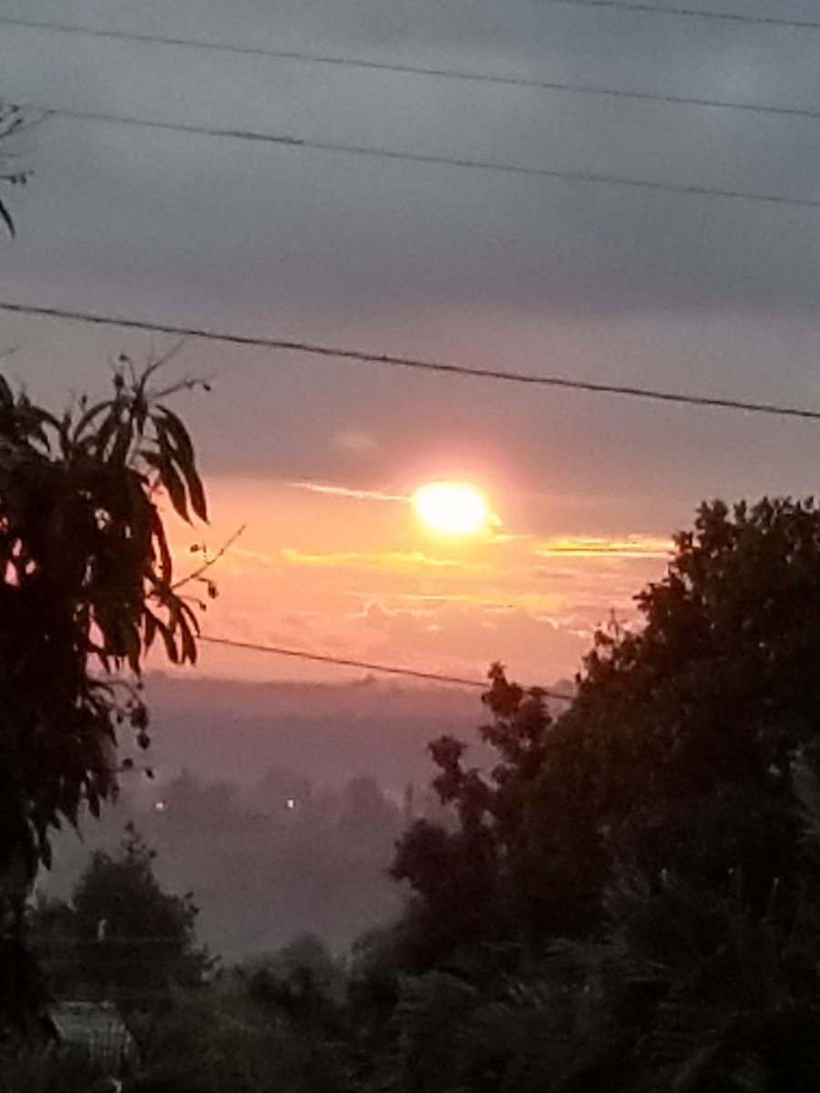 tytraid's tweet photo. #GoodMorning from #Africa ! 
Let the #morning bring me word of your unfailing love, for I have put my trust in you. Show me the way I should go, for to you I entrust my life. - Psalm 143:8

#TuesdayMotivation #GodFirst https://t.co/z7iBD5XJL1