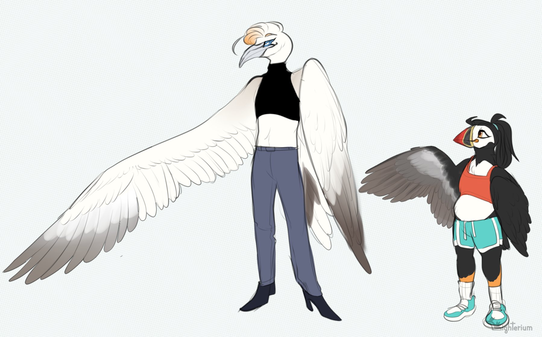 Xeeei 在twitter 上 To Illustrate My Point A Gannet And A Puffin T Co Oh91g4mgxv Twitter