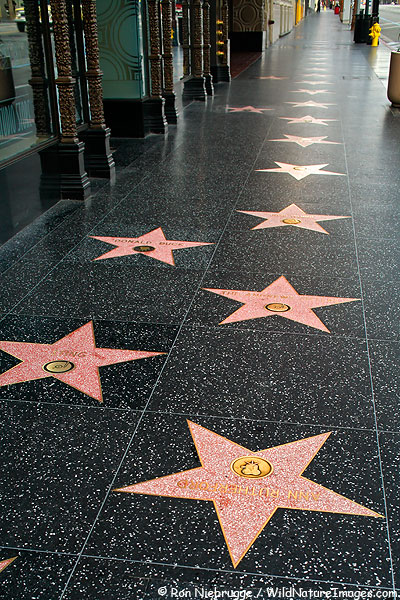 JumpClubMovie's tweet photo. Walk among the stars!! 4 DAYS LEFT!!! COME JOIN THE TEAM!! CHECK OUT OUR CAMPAIGN AND SUPPORT US!!
https://t.co/K72JBoDzNJ
 #HollywoodLocations #HollywoodSign #Hollywoodland #KICKSTARTER  #MOVIEMAKING #HOLLYWOODMYSTERY #HORROR #GOPRO #JOINTHETEAM #PEGENTWISTLE  #SupportIndieFilm https://t.co/g22oDKtlYE